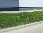 Parcare Carrefour