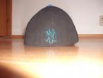 SAPCA NEW ERA