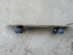 Skateboard Complet