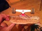 Skate Cube