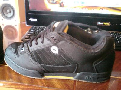 DVS Militia