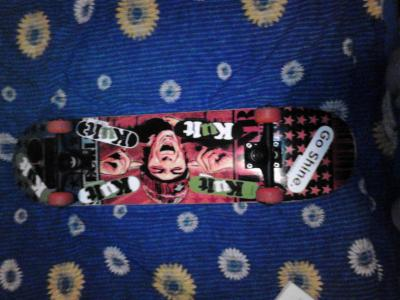 plan b sheckler no future pro model nou nout