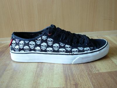 Vans Ferris