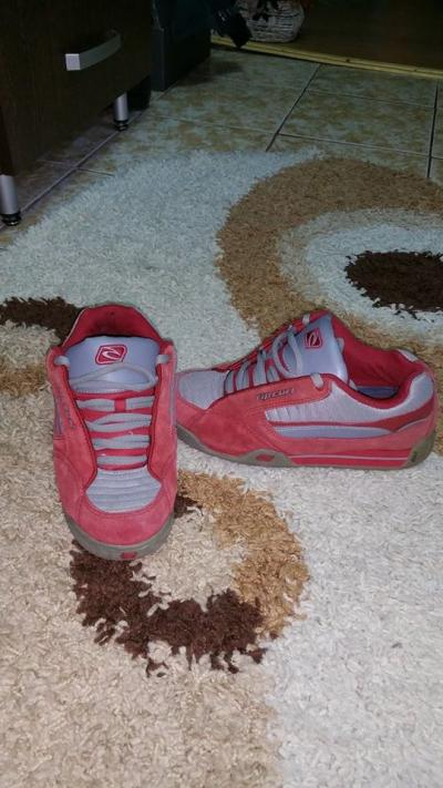 shoes rip curl