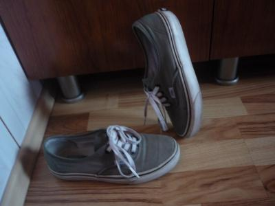 Vans authentic grey